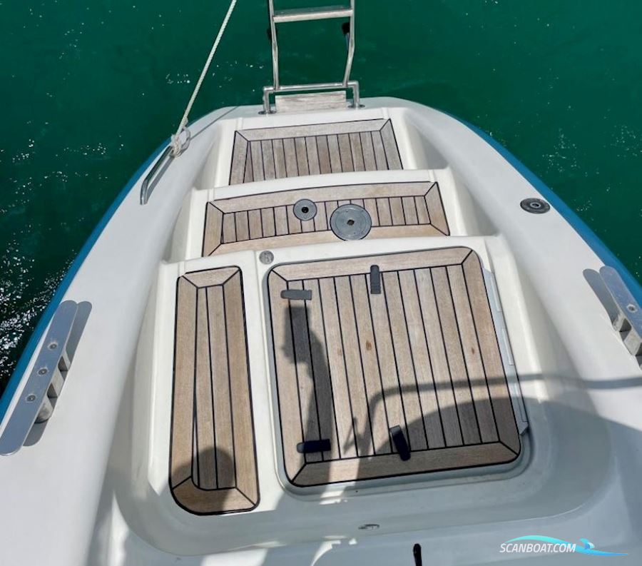 Catana 461