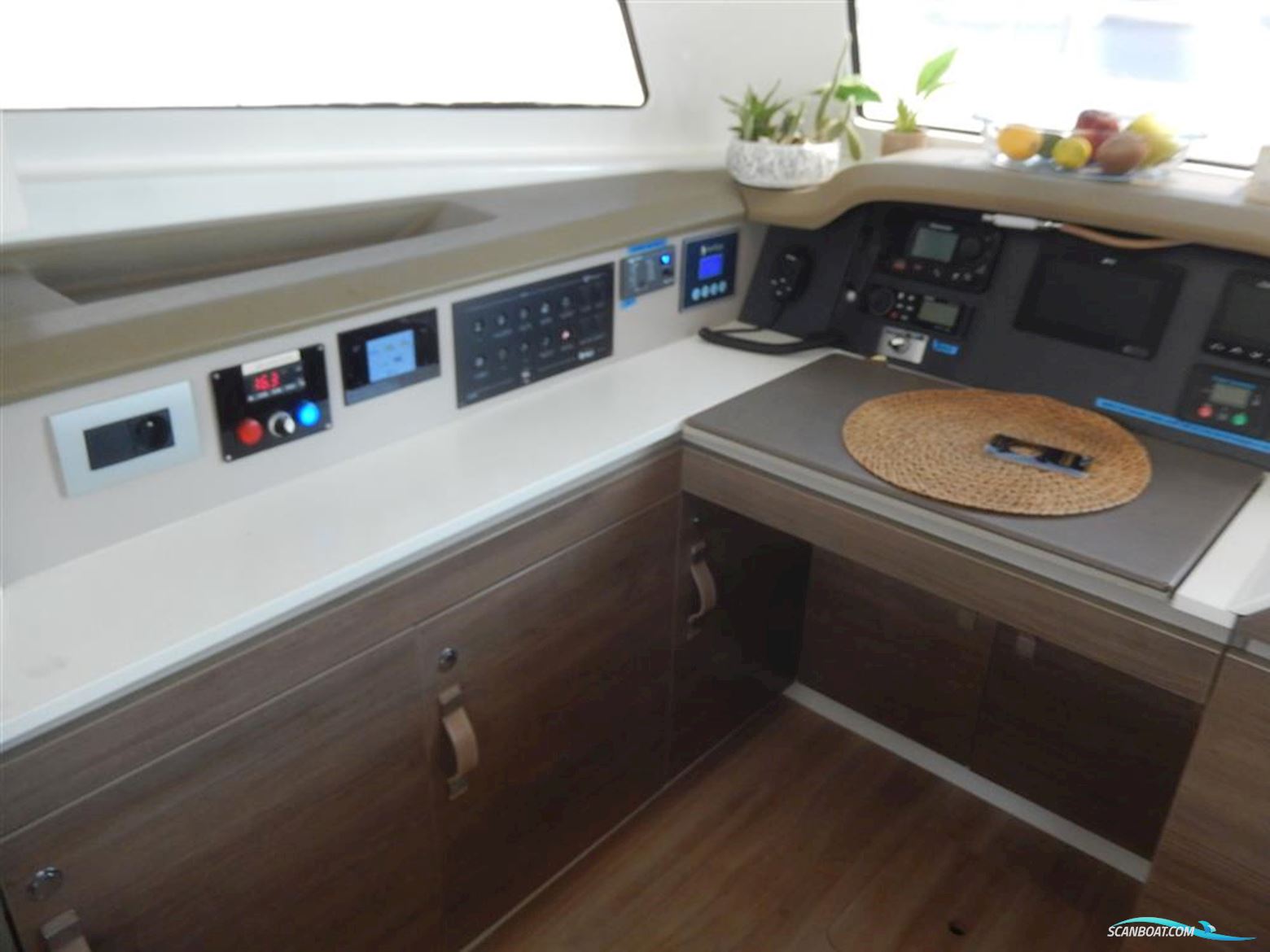 Catana Bali Catspace