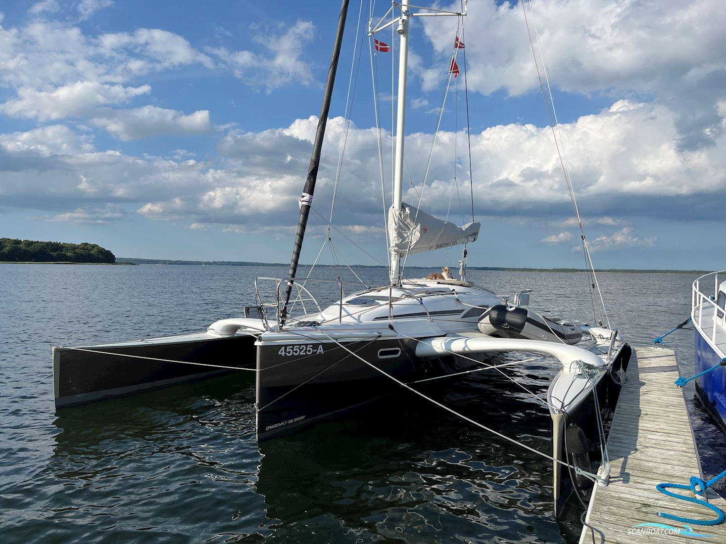 Dragonfly 28 Sport Multihull boten 2014, met Honda motor, Denemarken