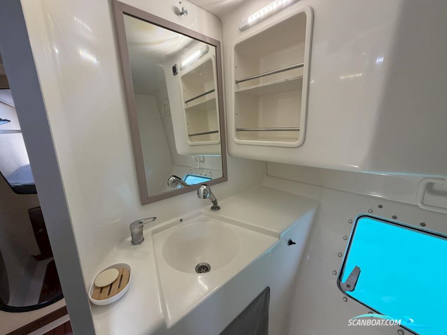 Fountaine Pakot Lavezii 40