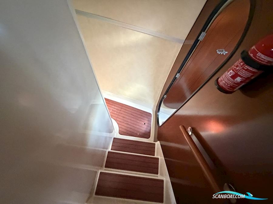 Fountaine Pakot Lavezii 40