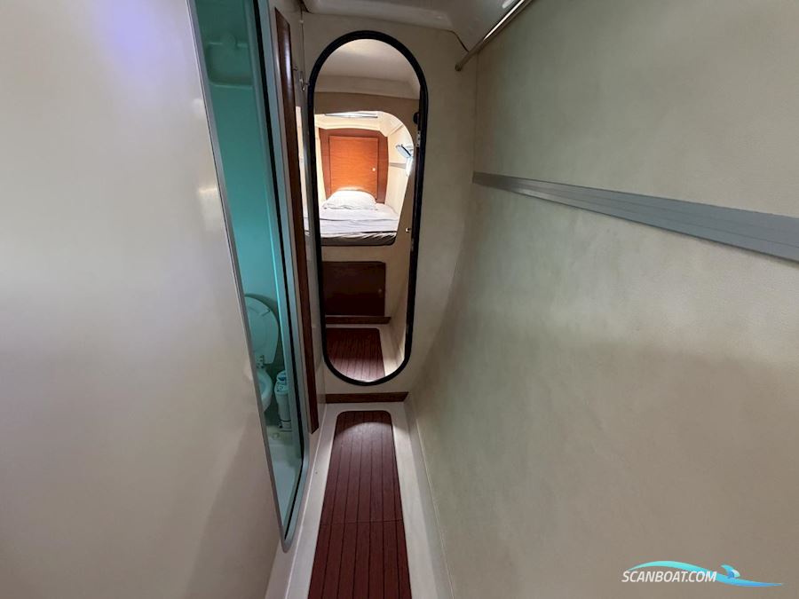 Fountaine Pakot Lavezii 40