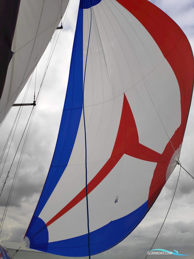 Havkat 31 Catamaran