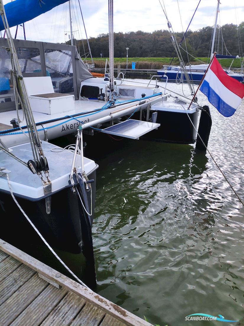 Havkat 31 Catamaran