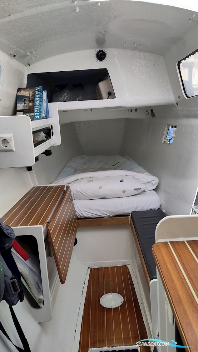 Havkat 31 Catamaran