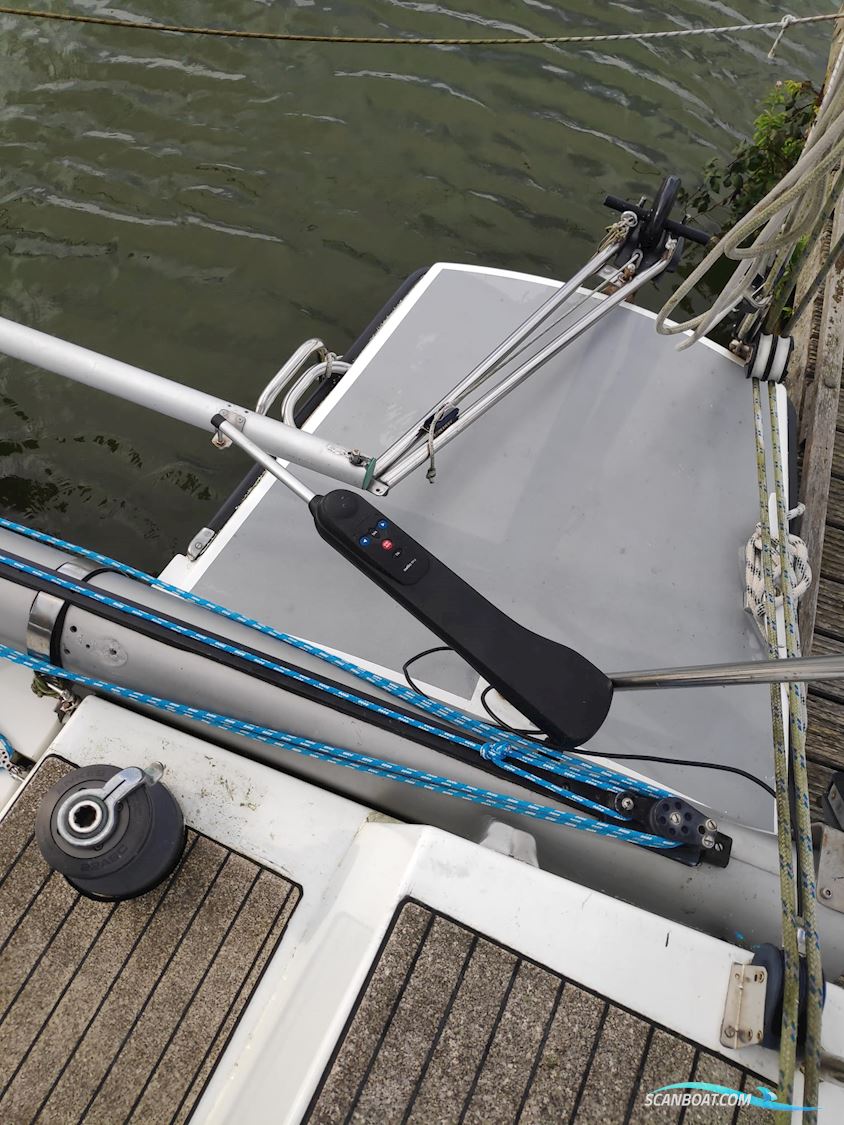Havkat 31 Catamaran