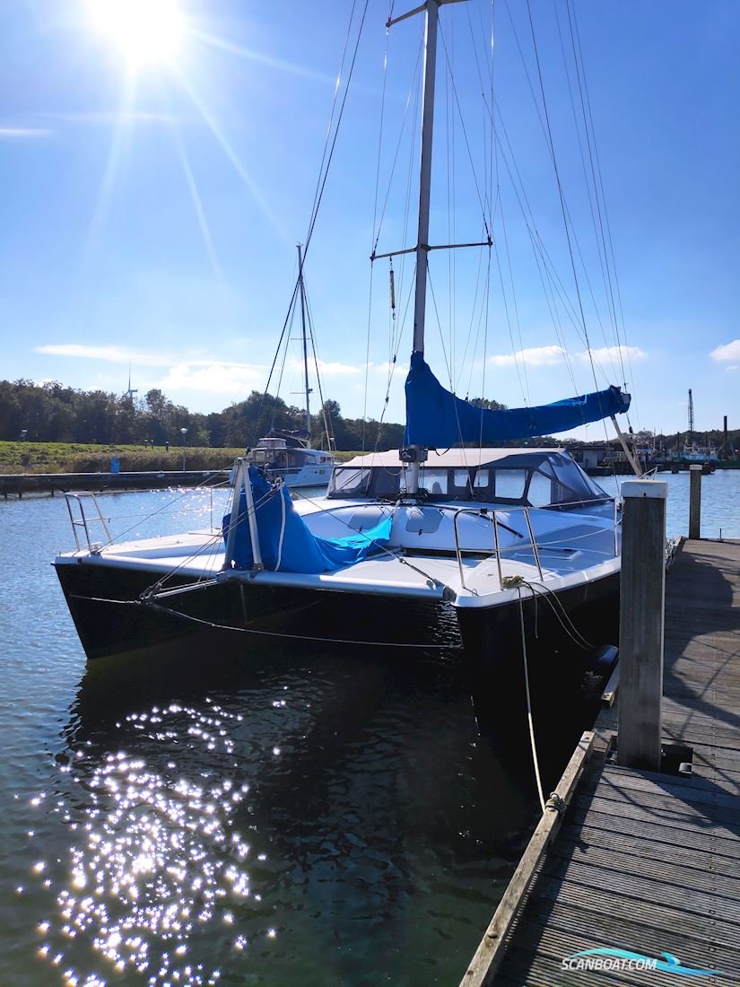 Havkat 31 Multihull boten 1992, met Honda motor, The Netherlands