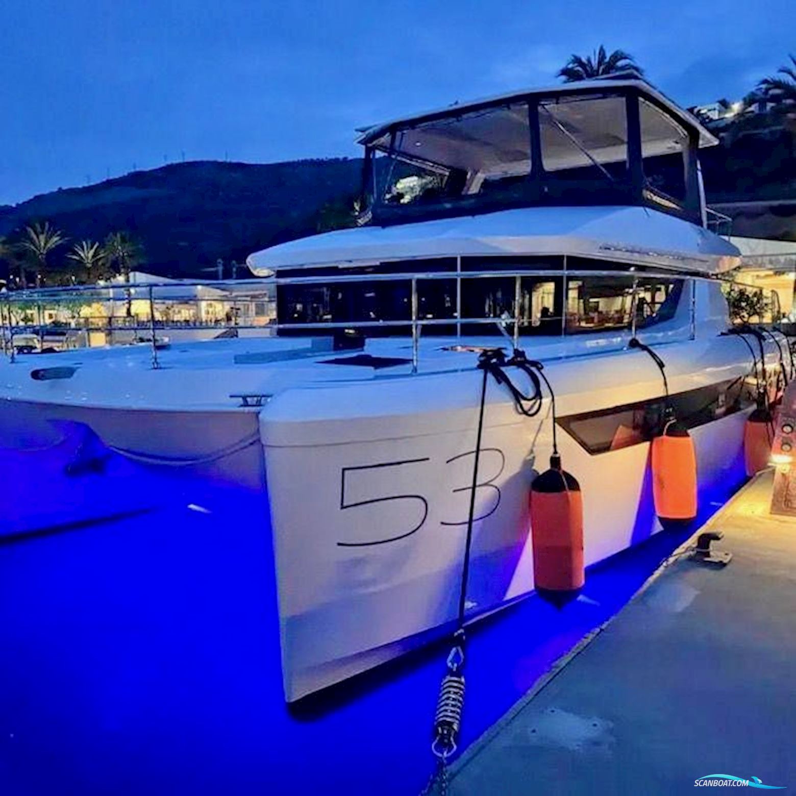 Leopard 53