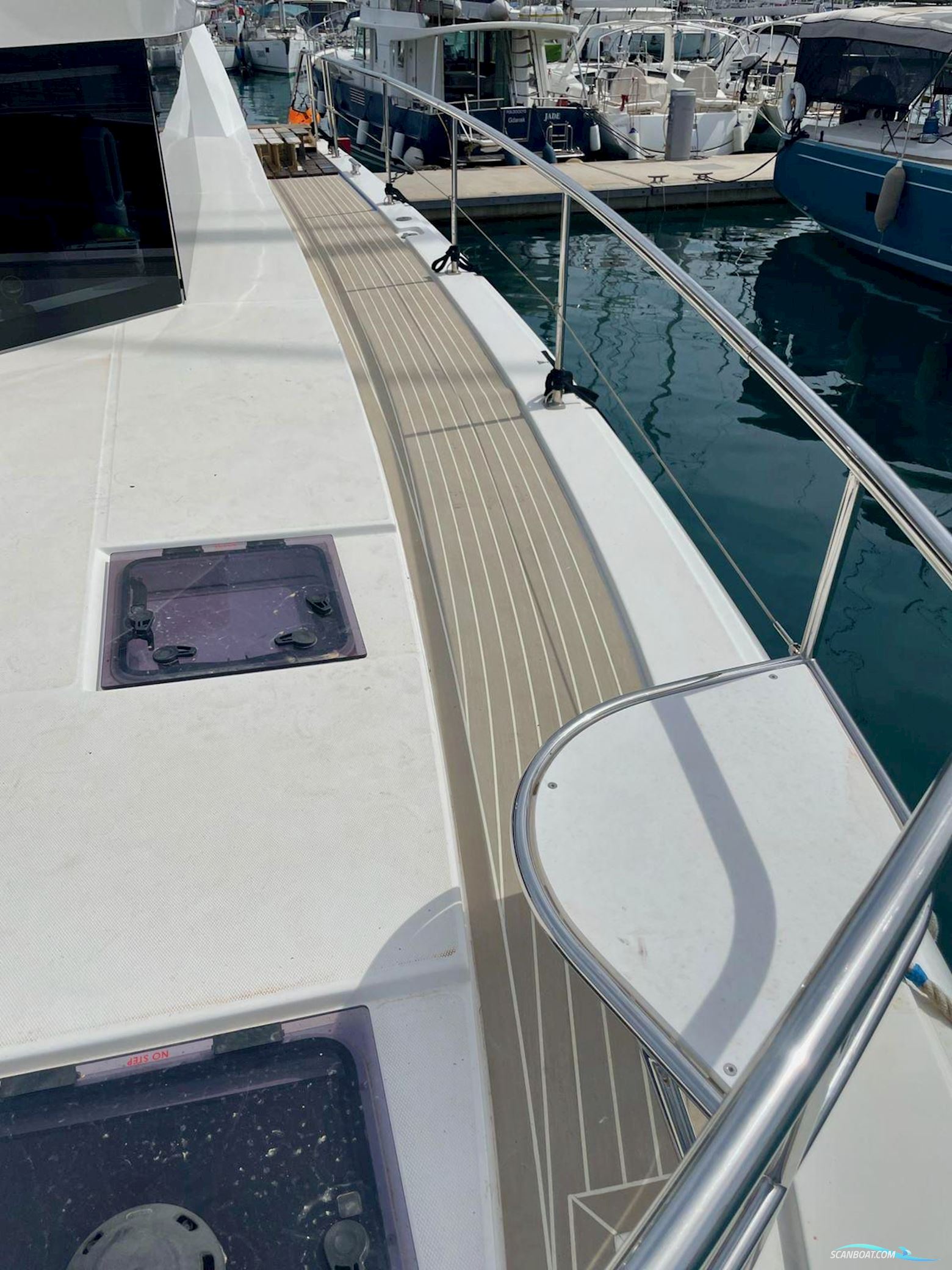 Leopard 53