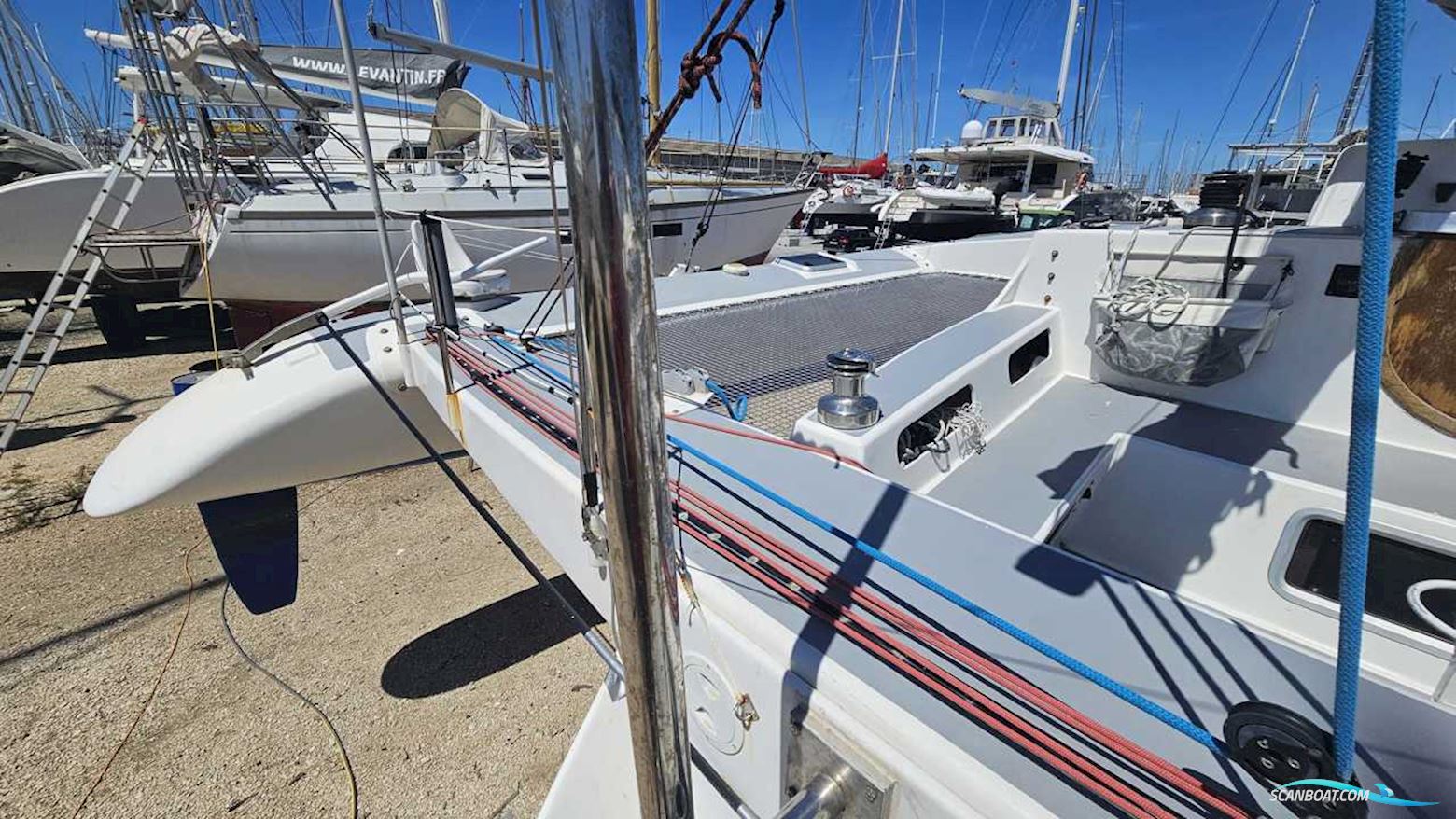Pulsar 33