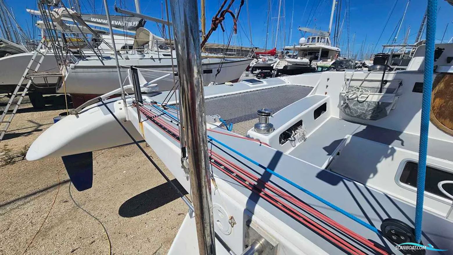 Pulsar 33