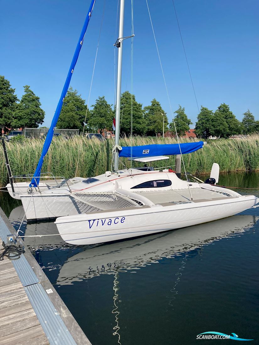 Trimaran Multihull boten 2008, met Mercury 4 Stroke motor, The Netherlands