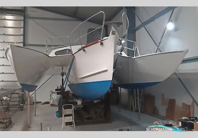 Triune 30 Classic Trimaran Multihull boten 1966, met Yamaha FT8Del motor, The Netherlands