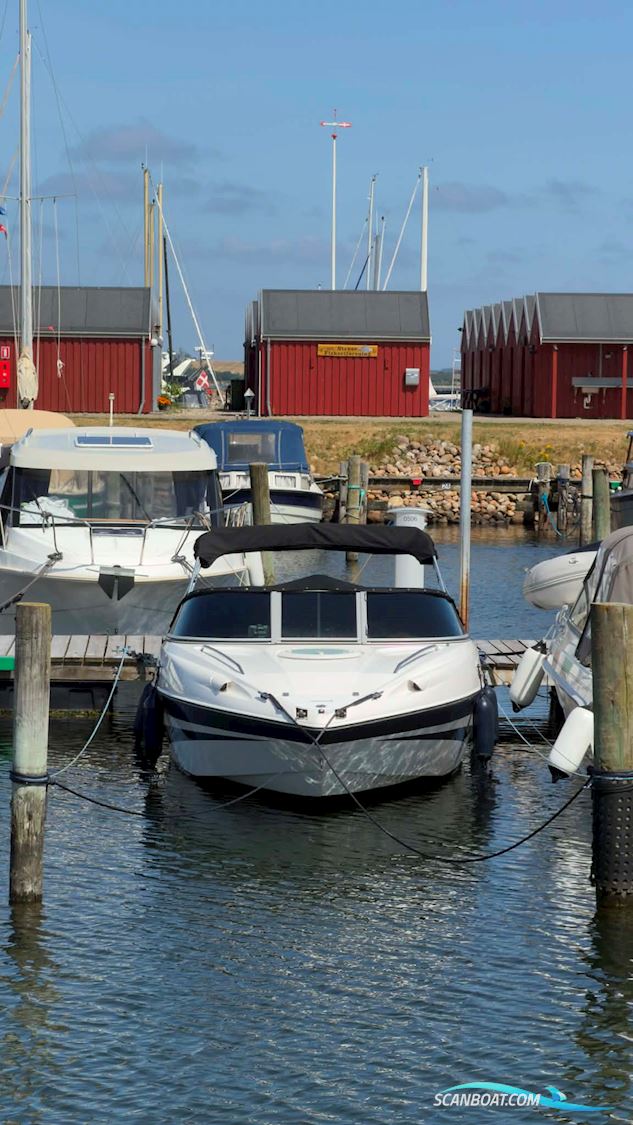 Campion Allante 595 sc