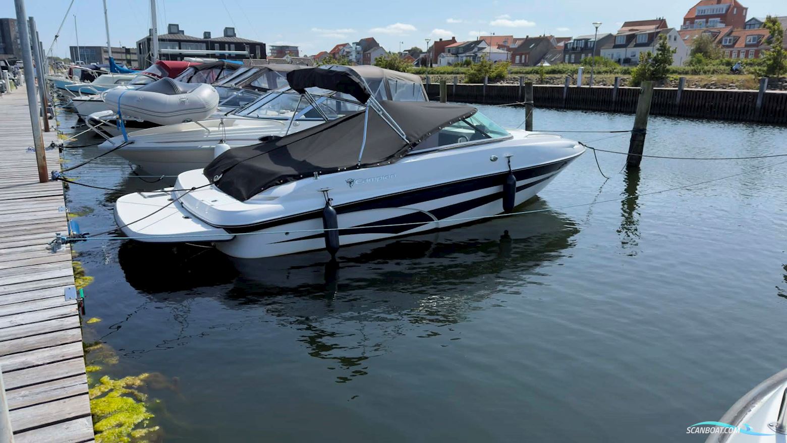 Campion Allante 595 sc