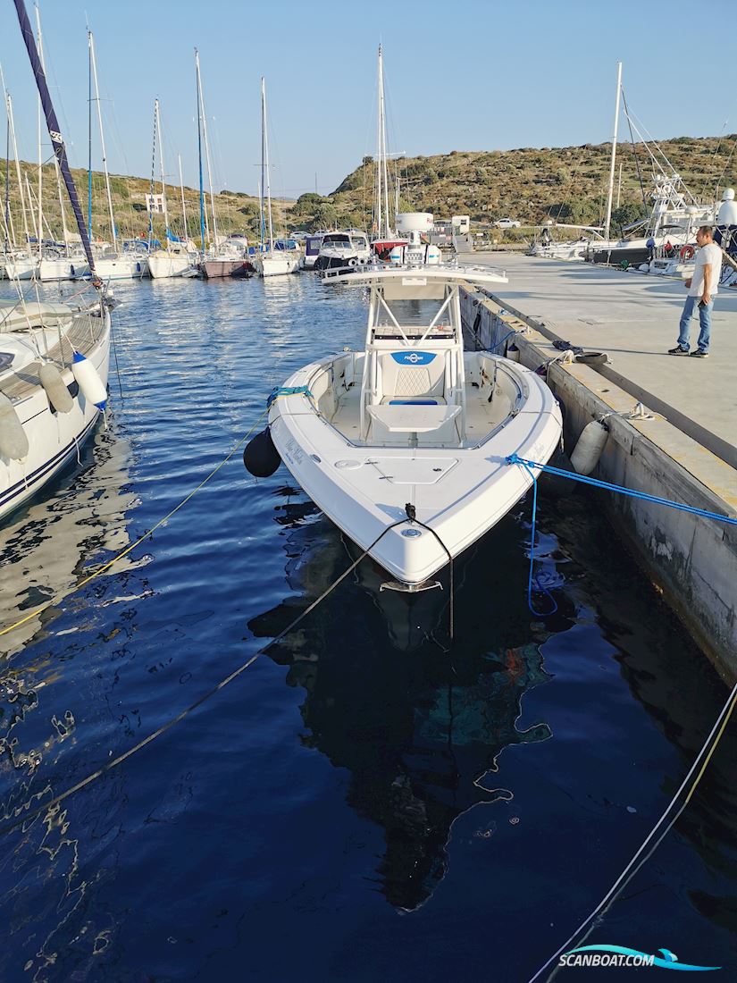 Fauntain 38