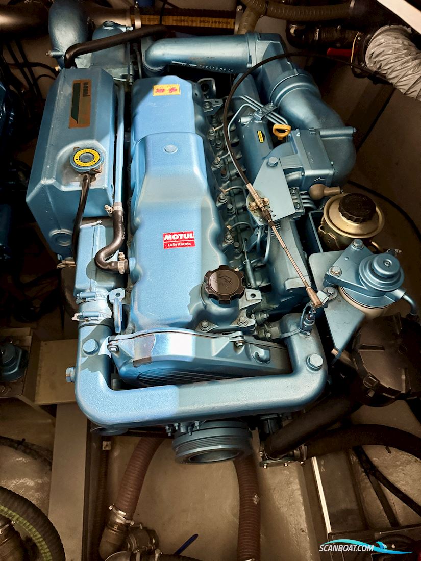 Levi 31 by Elephant Boat Yard