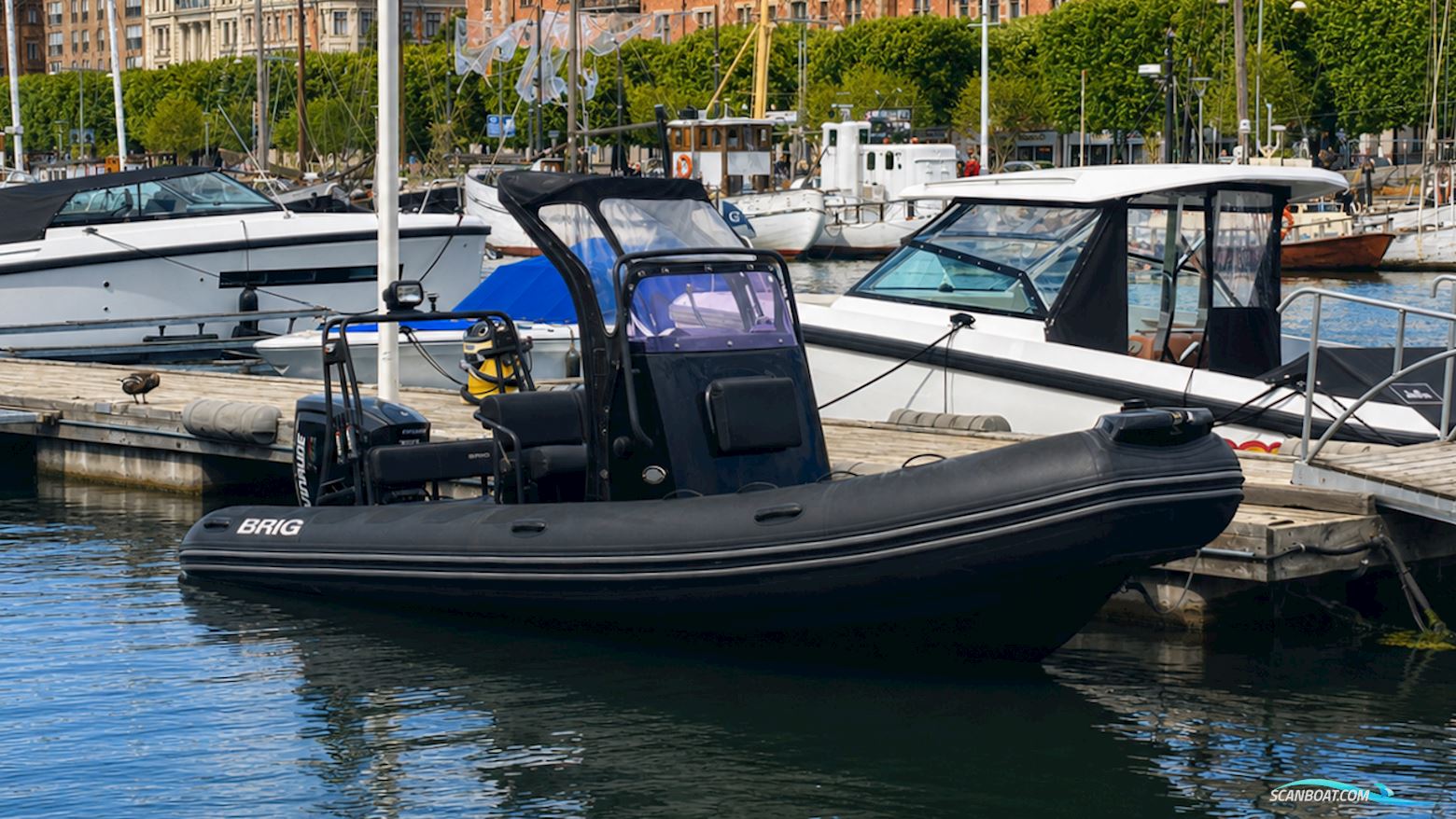 Brig Navigator 610 Rubberboten en ribs 2018, met Evinrude motor, Sweden
