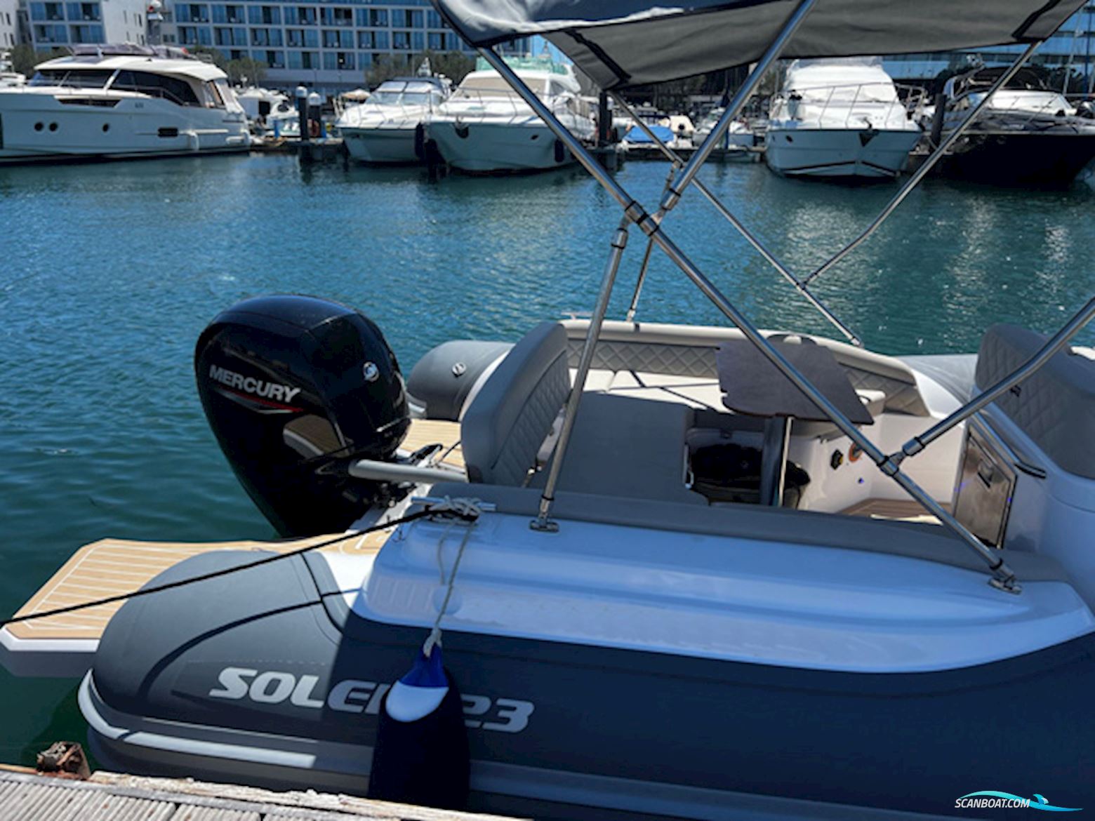 Salpa Soleil 23
