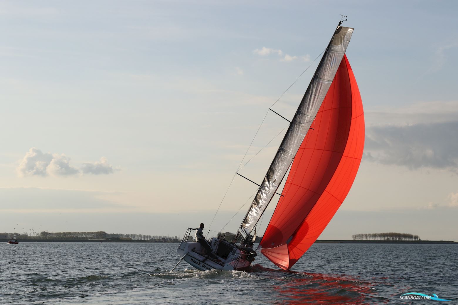 Beneteau First 27 SE/ Seascape 27 Sailing boat 2019, with Tohatsu engine, The Netherlands