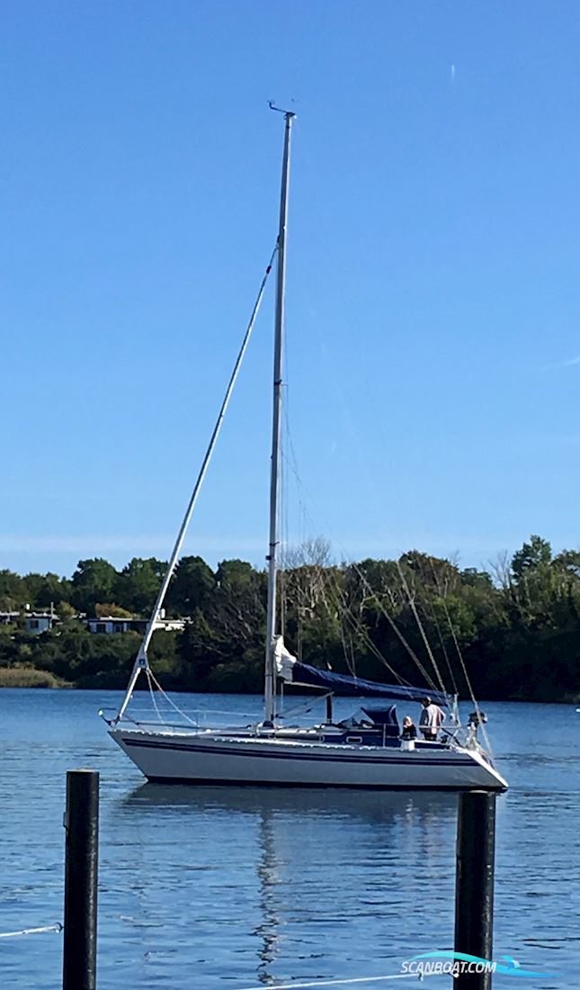 Finngulf 33 m.Liegepl.Schlei b. Okt´23 Sailing boat 1990, with Volvo D1-20 f engine, Germany