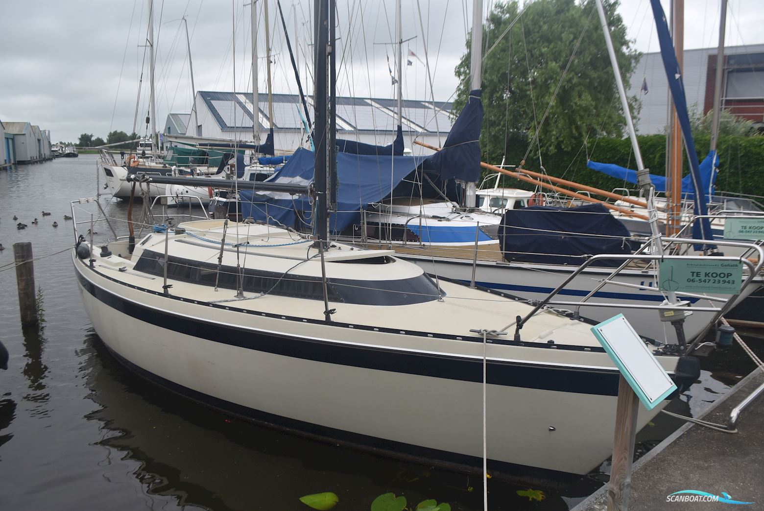 Friendship 28 Sailing boat 1983, with Volvo Penta engine, The Netherlands