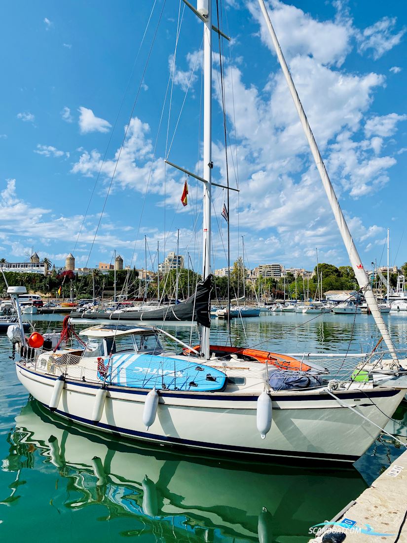 Hallberg-Rassy 35 Rasmus Sailing boat 1973, with Solé Mini 44 engine, Italy