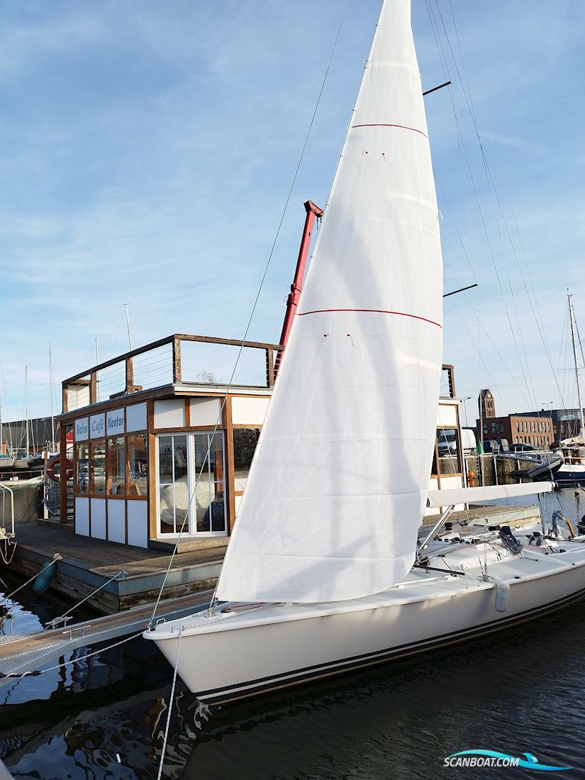 11 metre one design