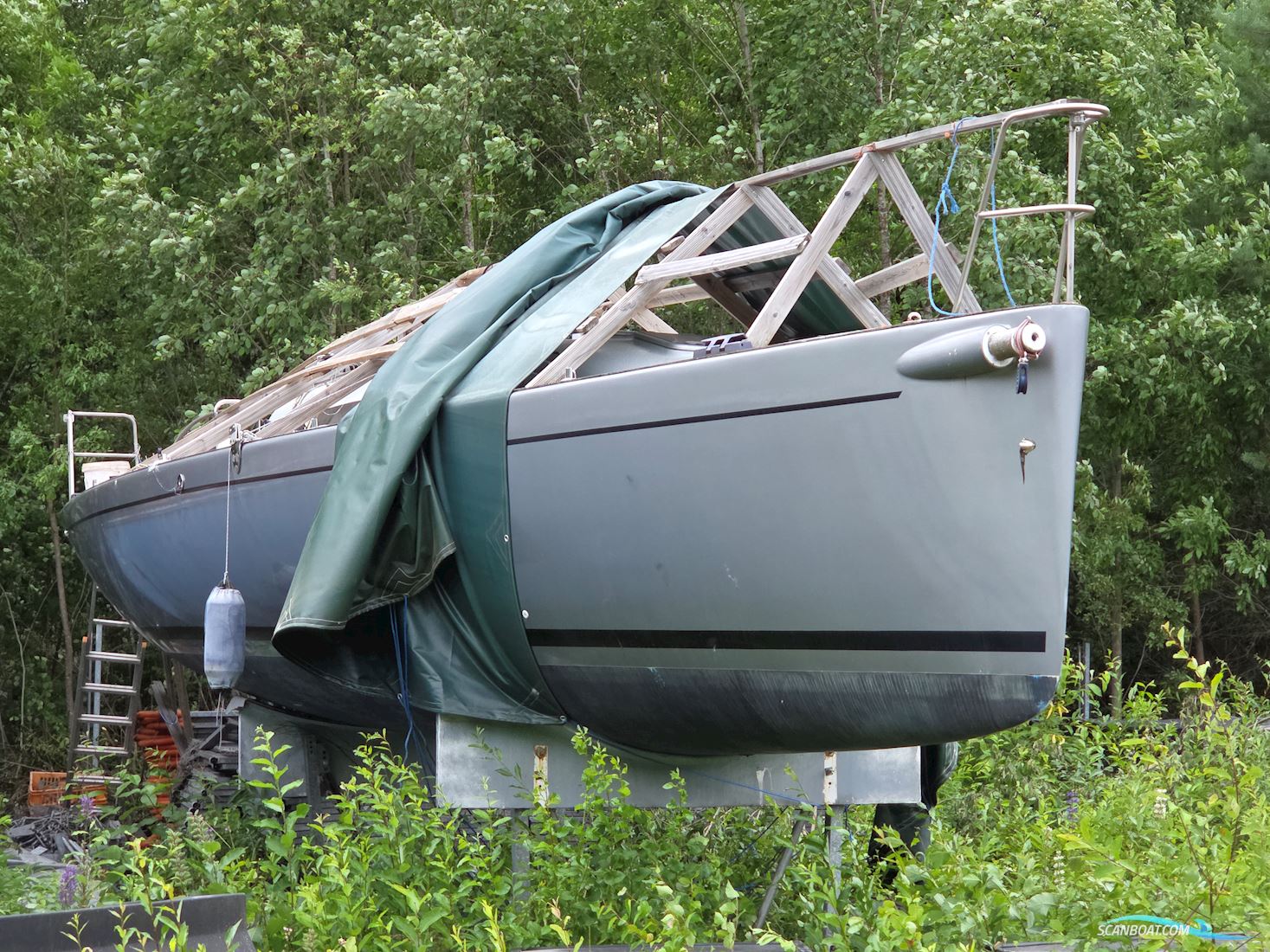 Aerodyne 38 Nordic