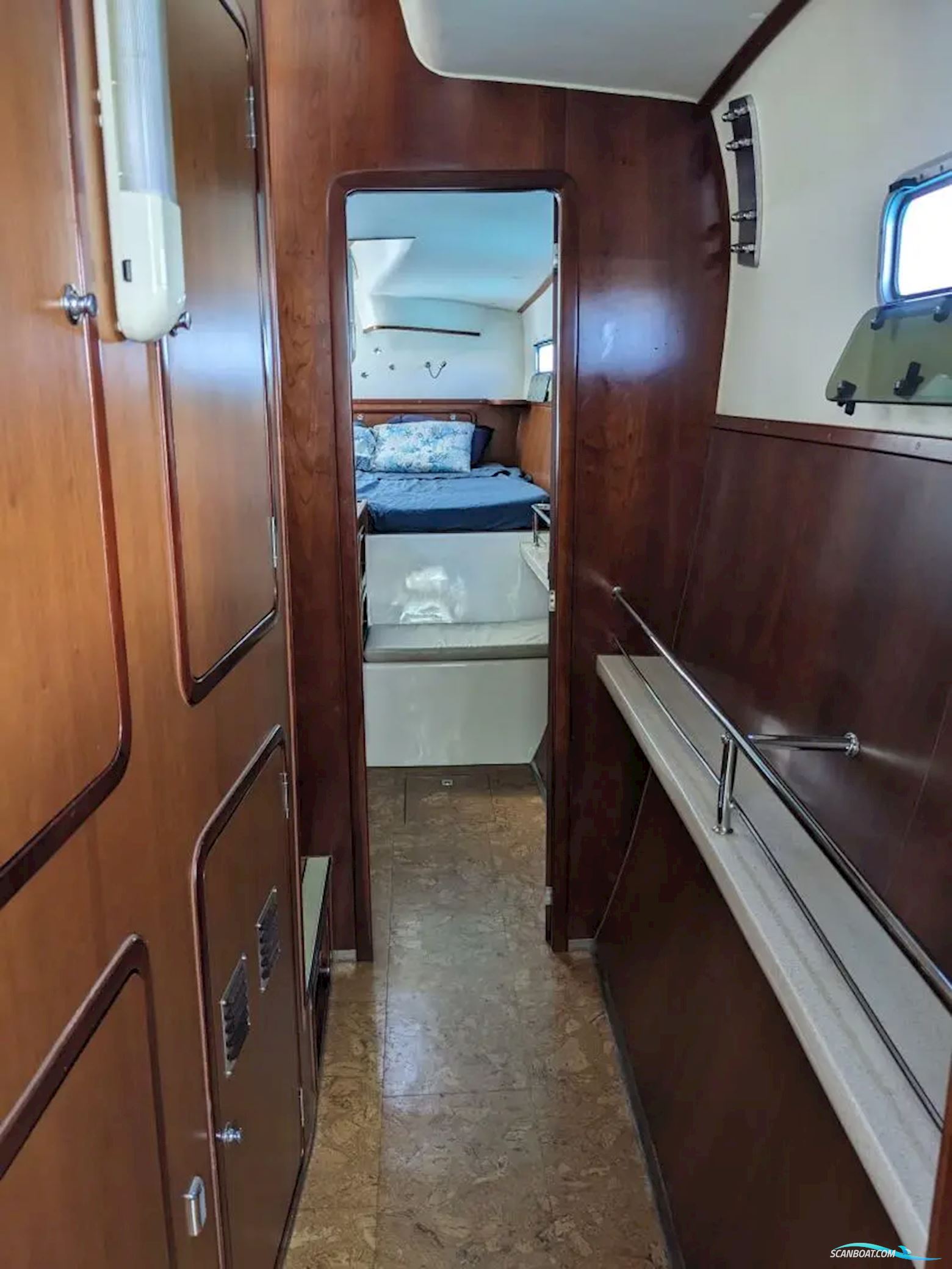 African Cats Fast Cat 435