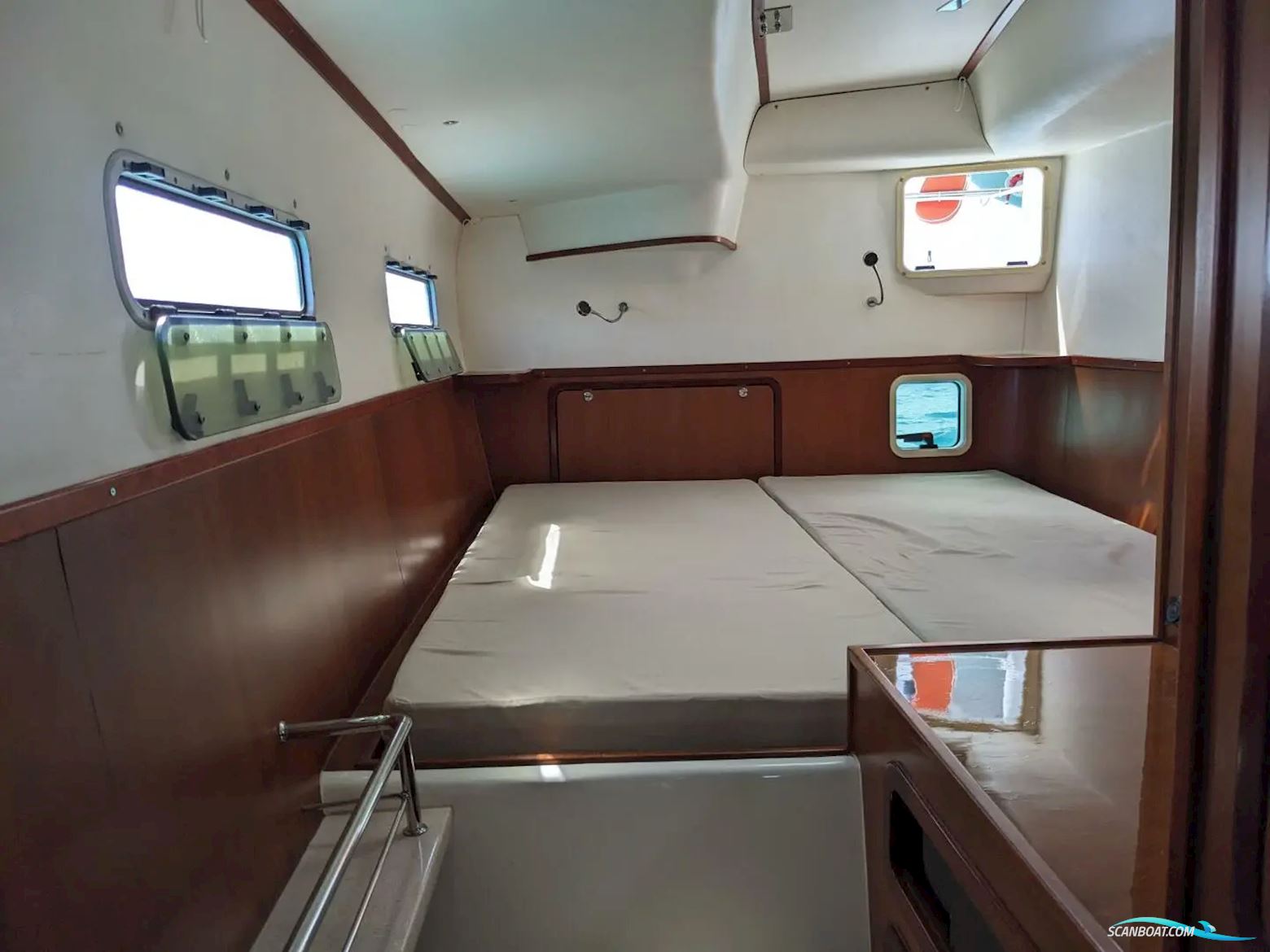 African Cats Fast Cat 435