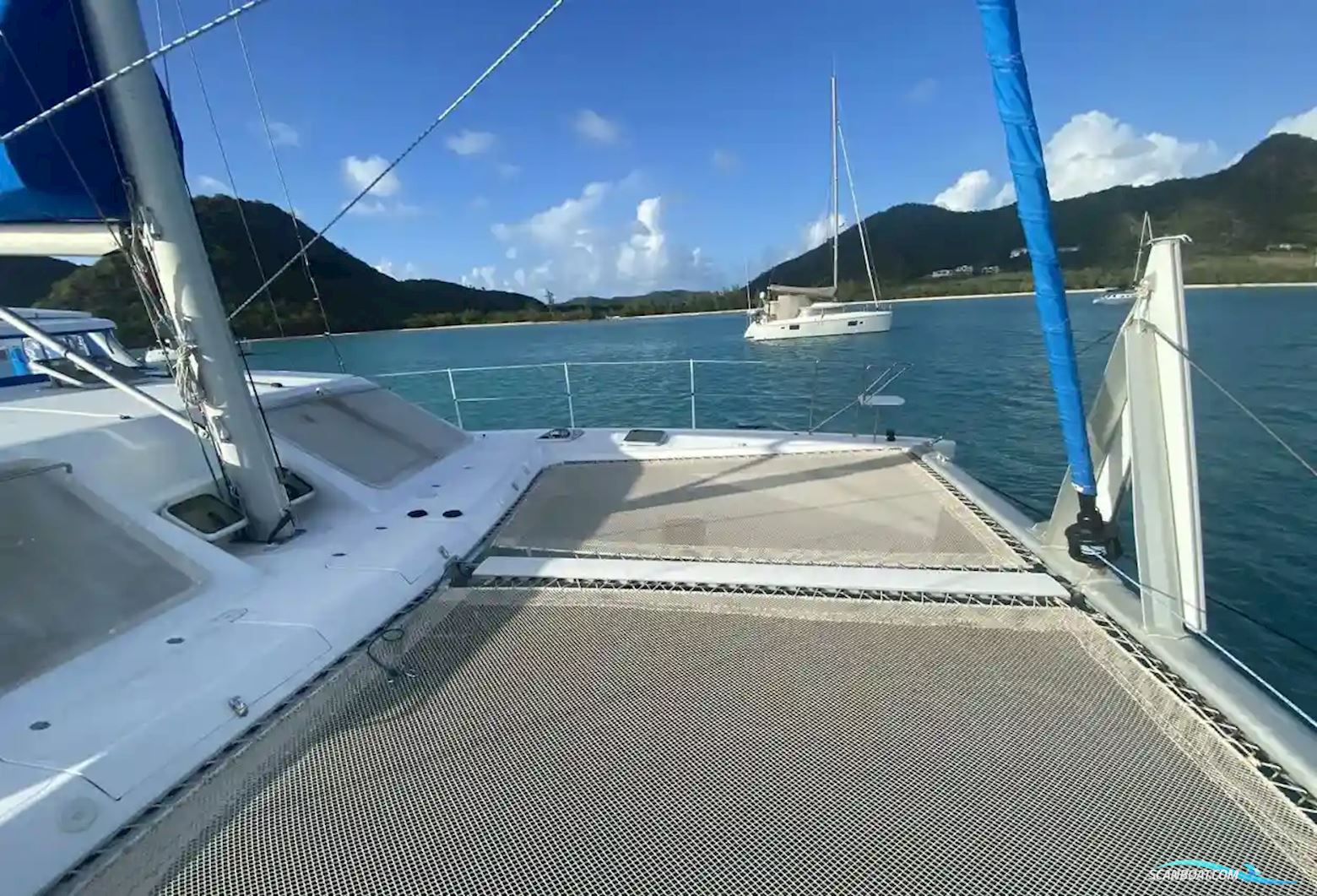 African Cats Fast Cat 435