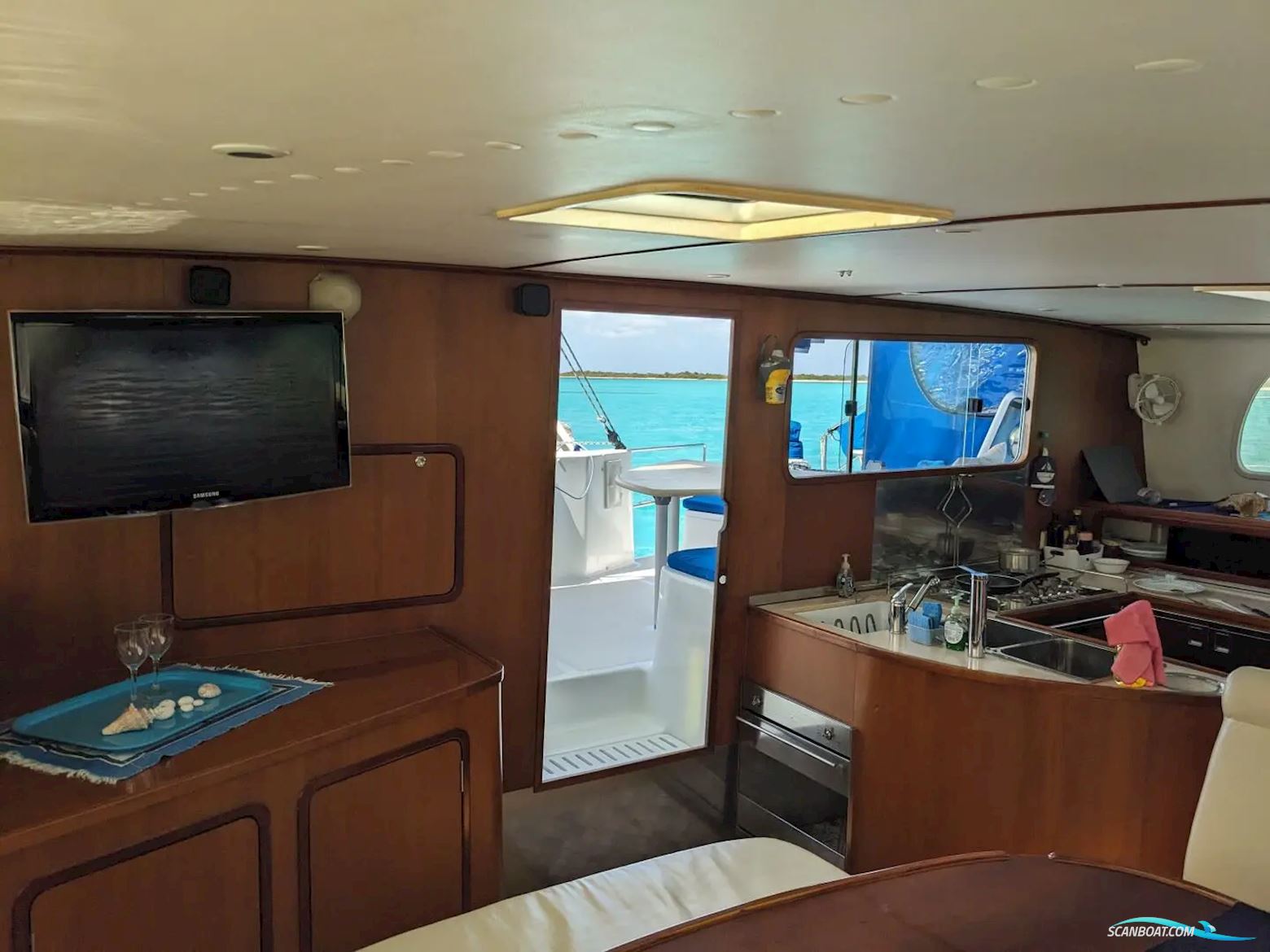 African Cats Fast Cat 435