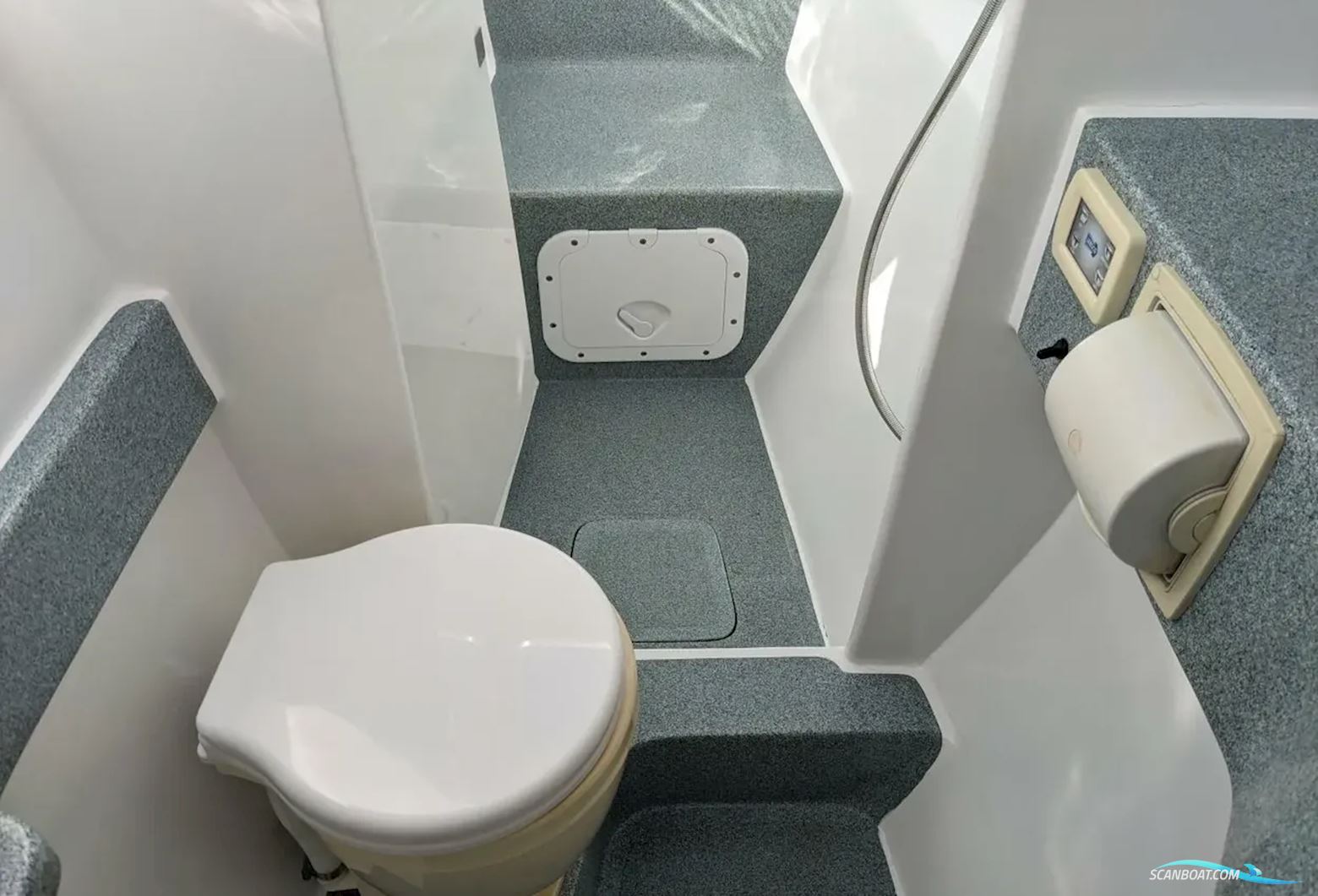 African Cats Fast Cat 435