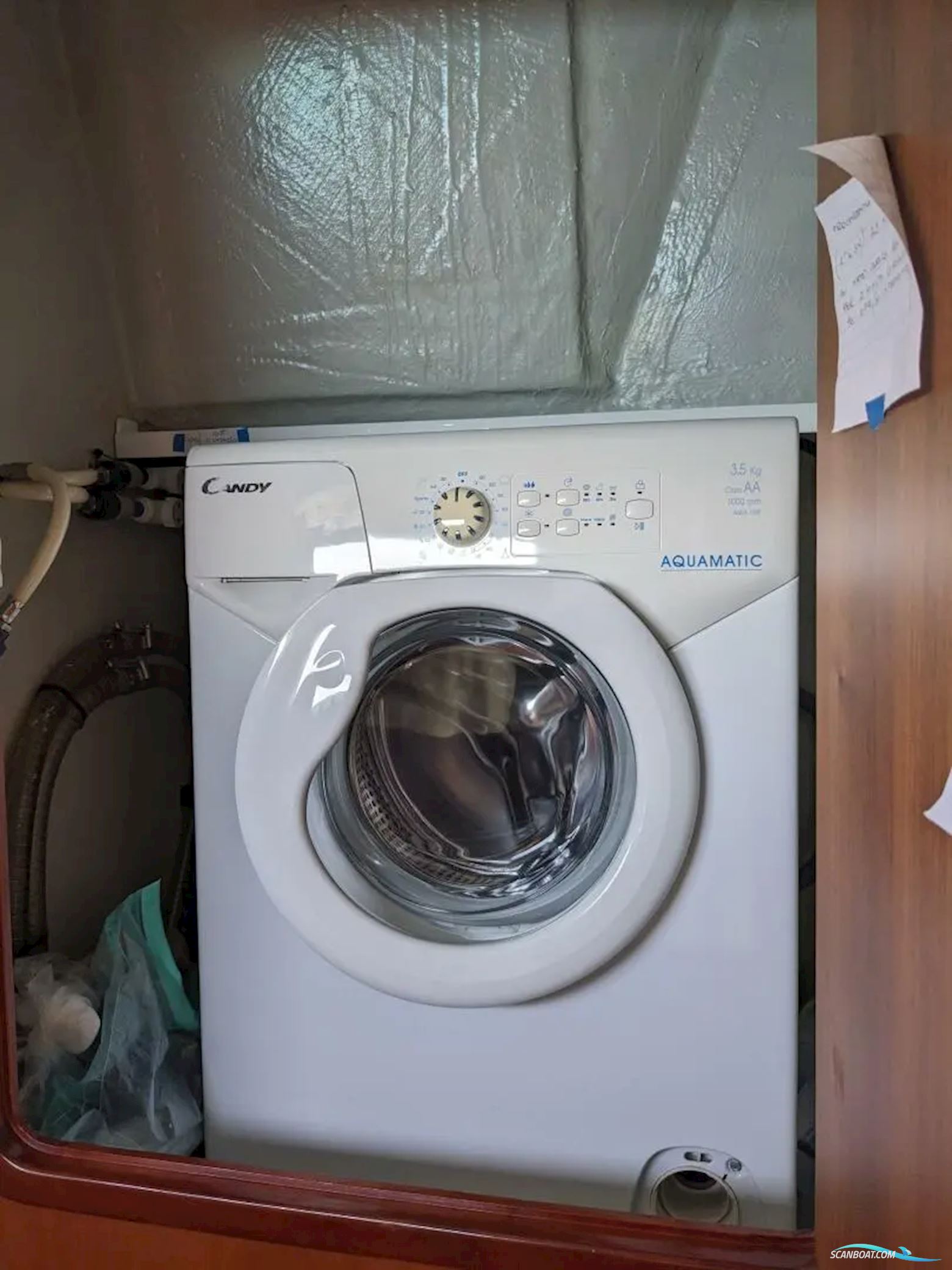 African Cats Fast Cat 435