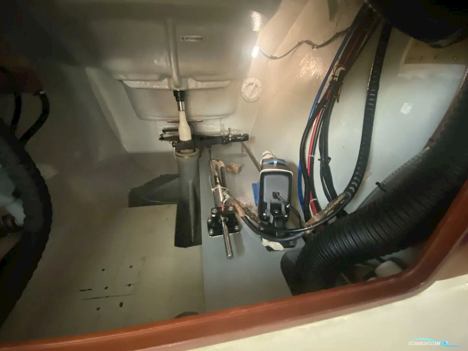 African Cats Fast Cat 435