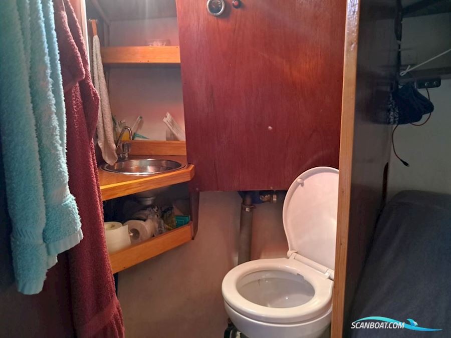 Albatros 33-Bud Modtages