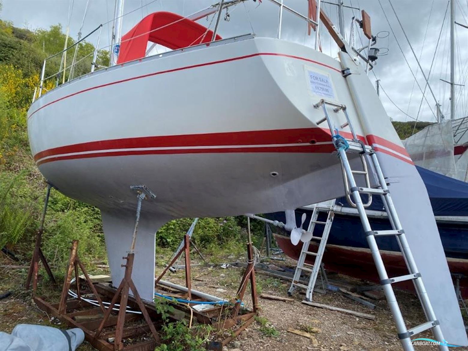 Albin  Cumulus 8.5m