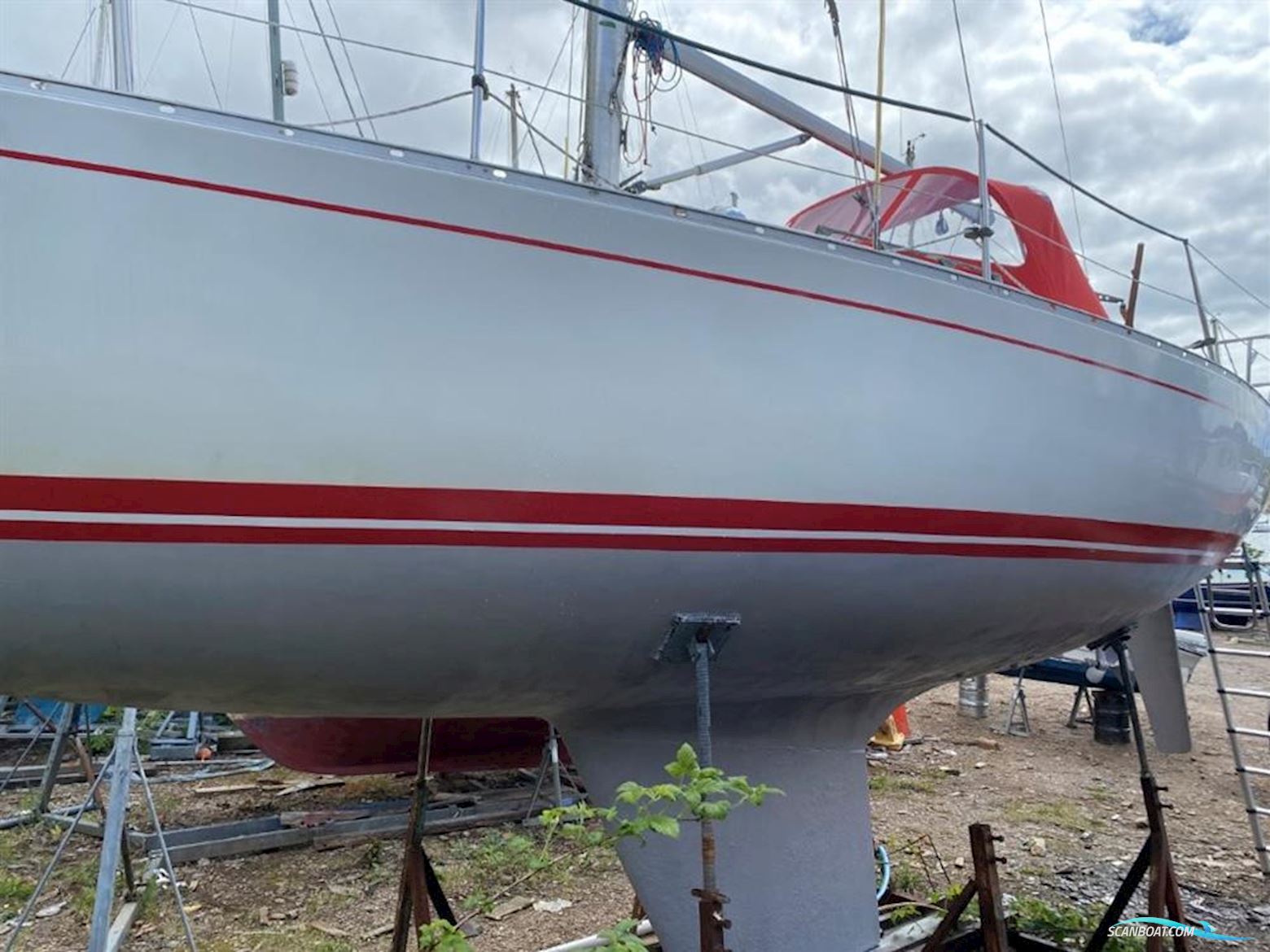 Albin  Cumulus 8.5m