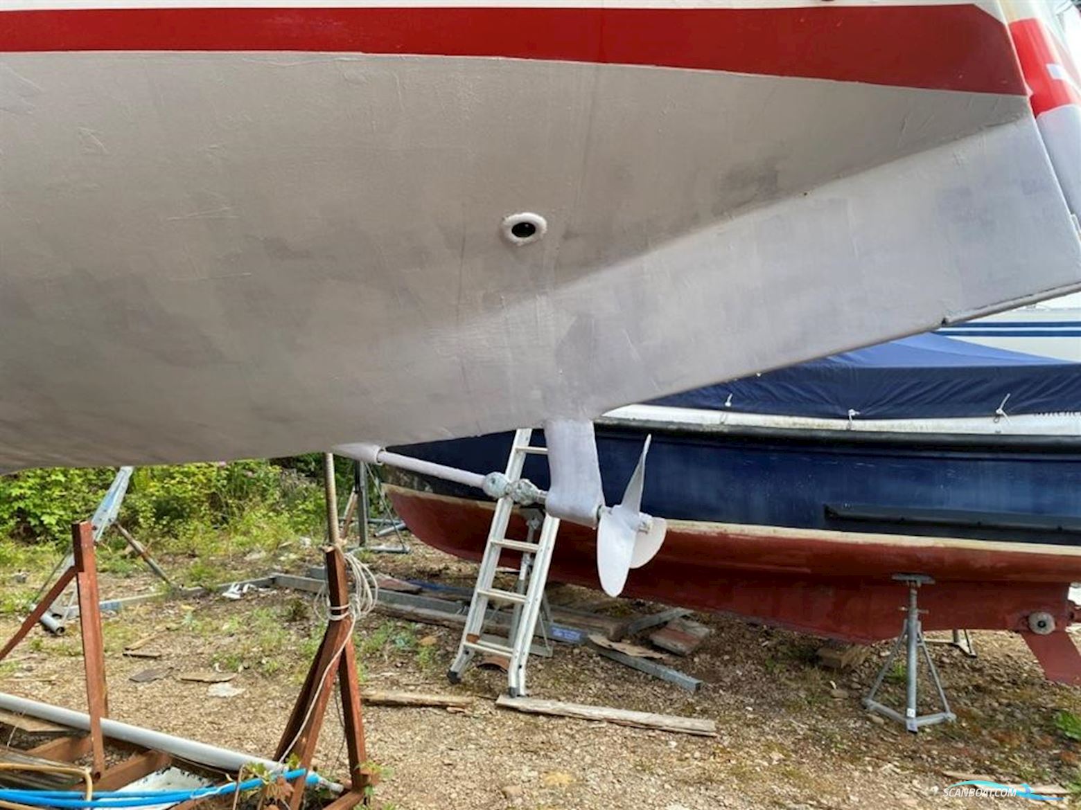 Albin  Cumulus 8.5m