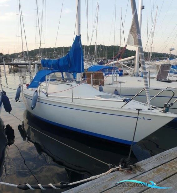 Albin 78 Cirrus Sailingboat 1978, with Volvo Penta md5 engine, The Netherlands