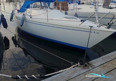 Albin 78 Cirrus Sailingboat 1978, with Volvo Penta md5 engine, The Netherlands