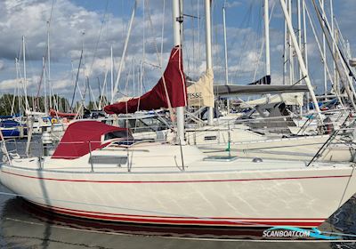 Albin Alpha 29 Sailingboat 1989, with Yanmar 10 engine, Denmark