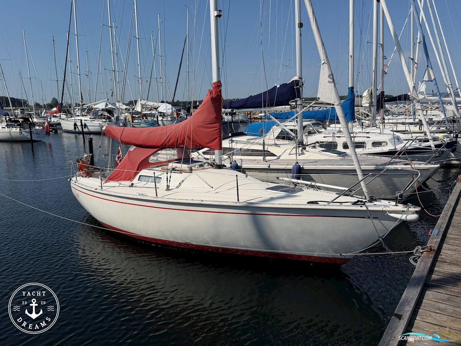 Albin Cirrus