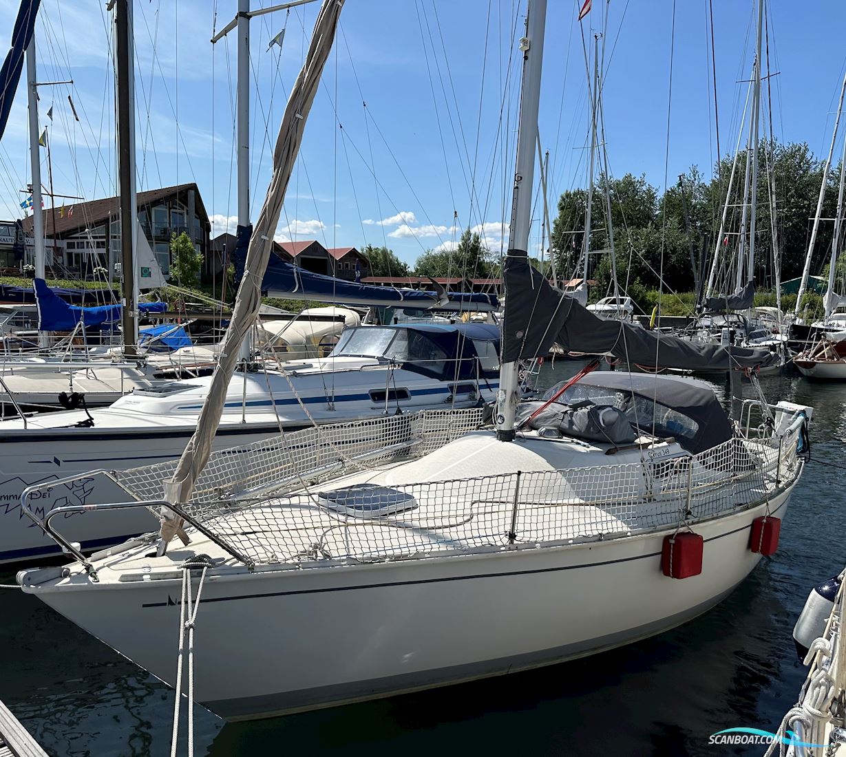 Albin Cirrus