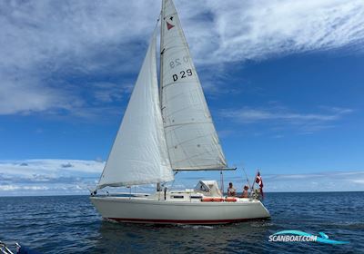 Albin Delta Sailingboat 1983, with Yanmar engine, Denmark