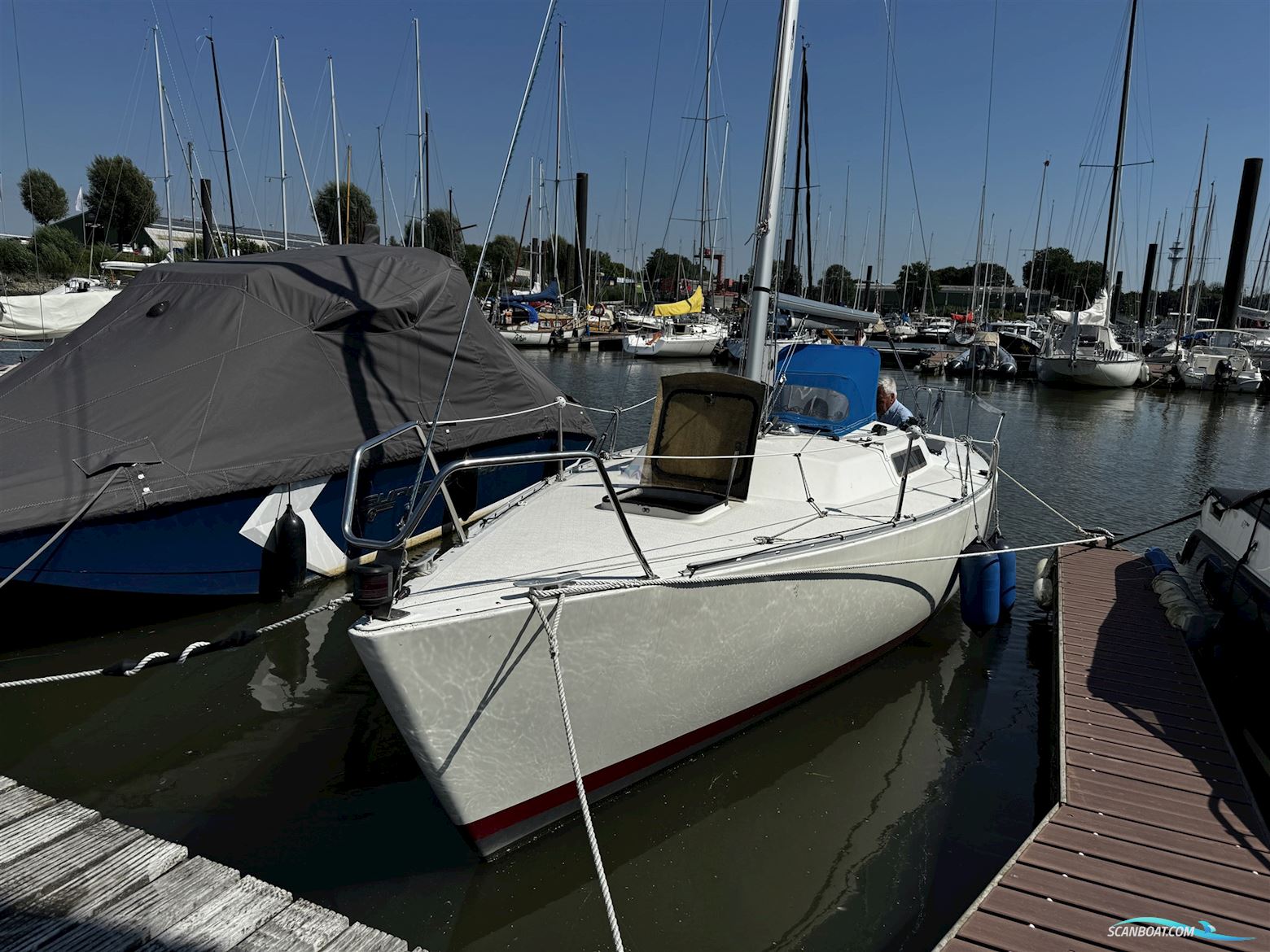 Albin Express Sailingboat 1978, Germany