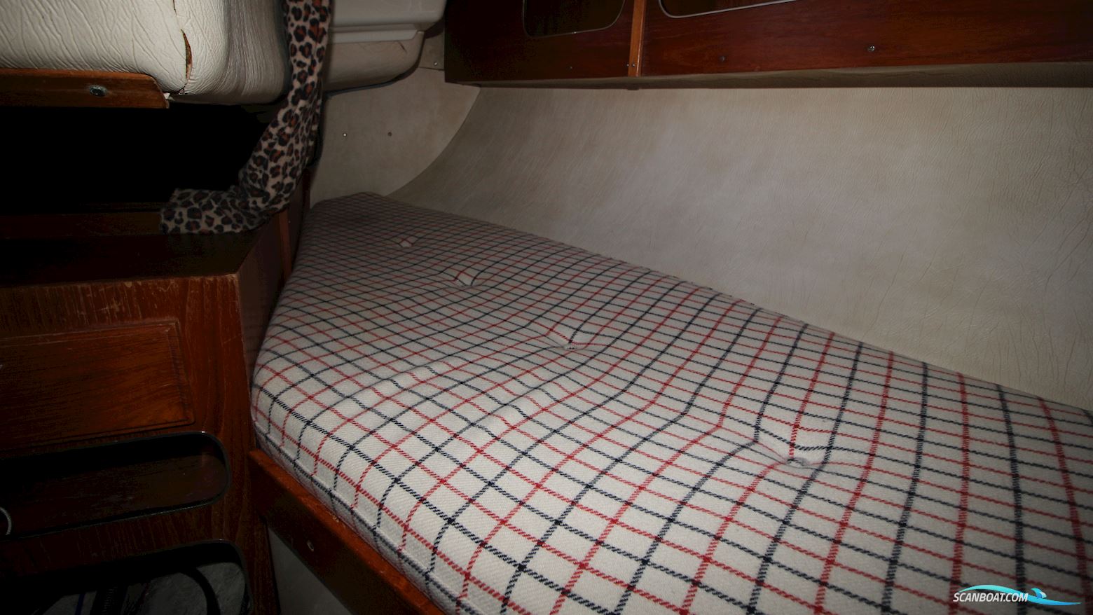 Albin Stratus 35