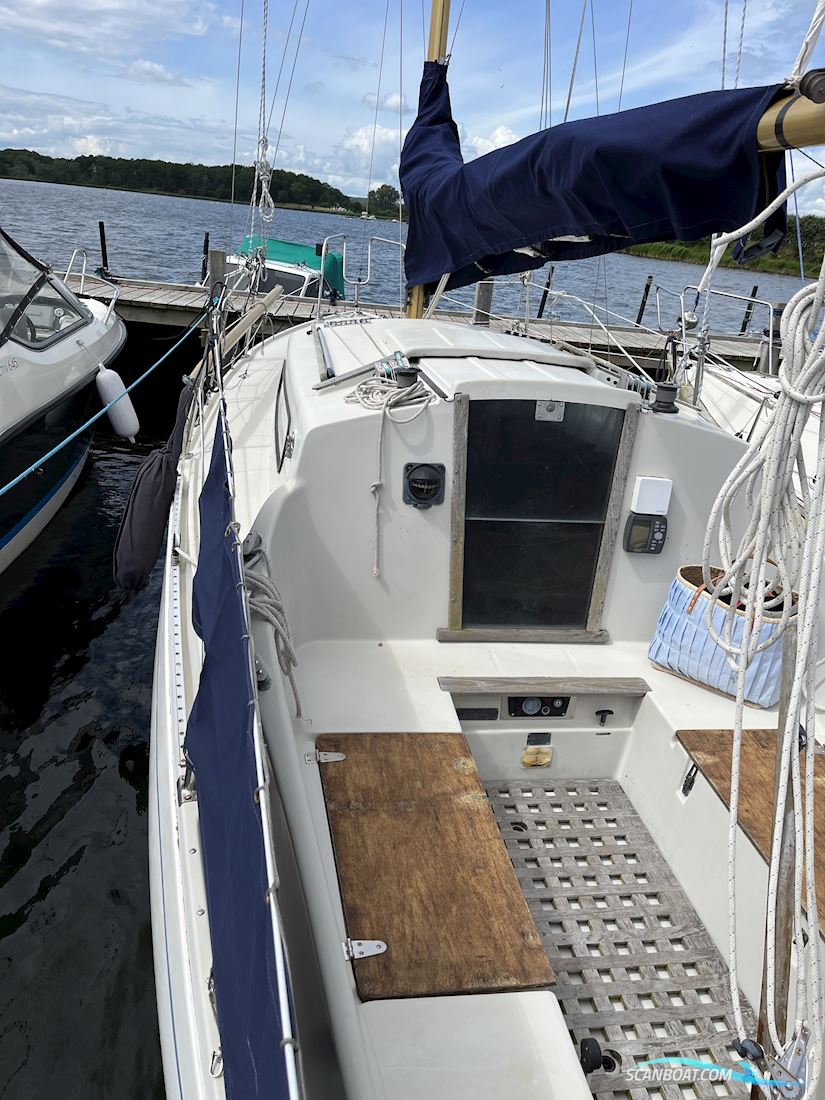 Albin Vega Sailingboat 1974, with Yanmar engine, Denmark