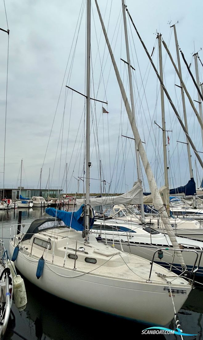 Albin Vega Sailingboat 1975, with Sole Diesel Mini engine, Denmark